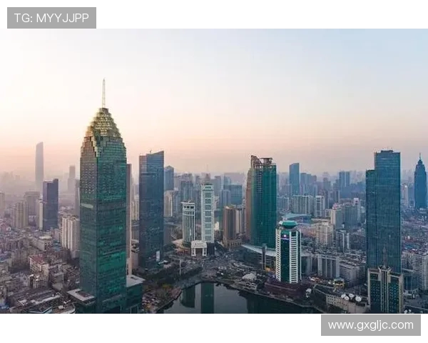 武汉三镇融合发展战略:构建现代化大都市核心区域新格局