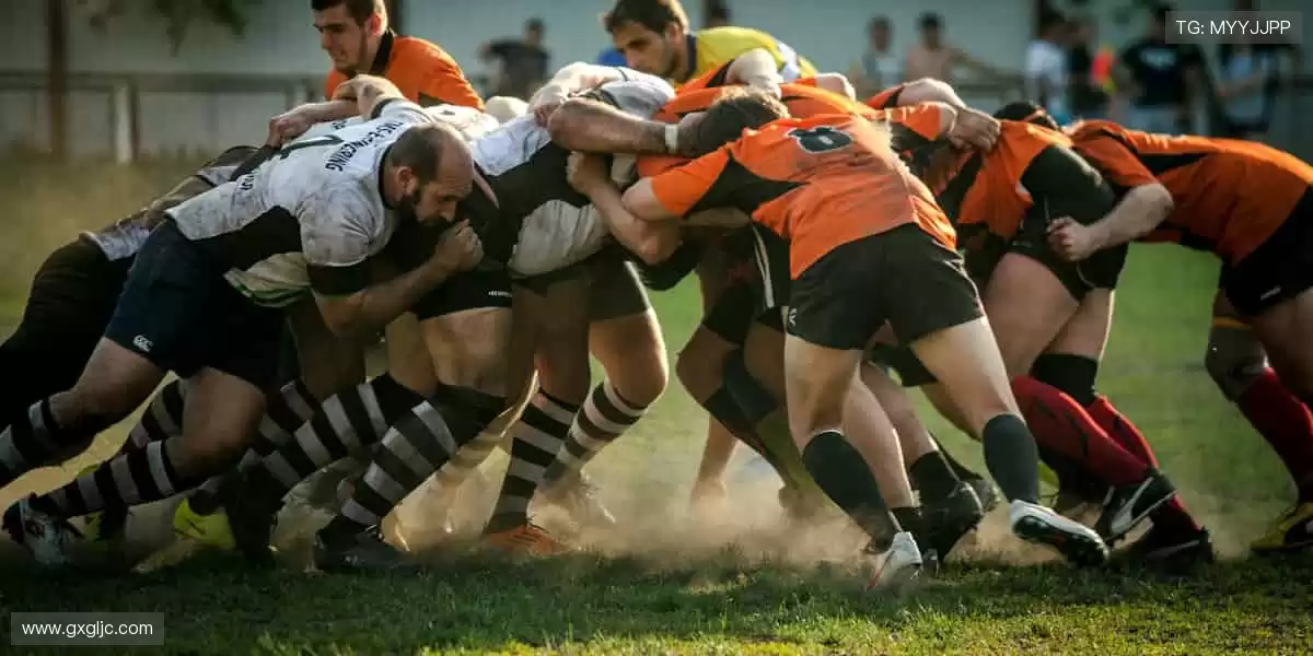 📱【直播平台】超清画质，错过的精彩都在这里回放！